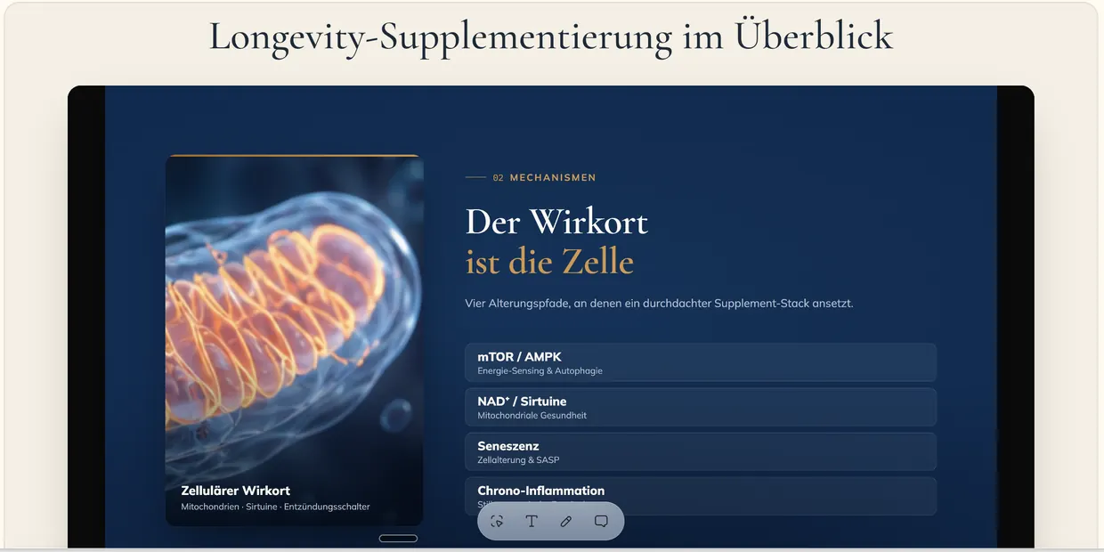 Longevity-Supplementierung im Überblick
